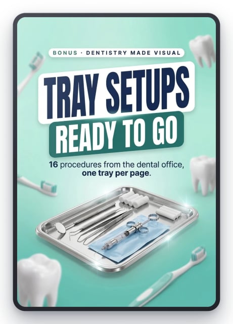 Tray Setups Ready to Go