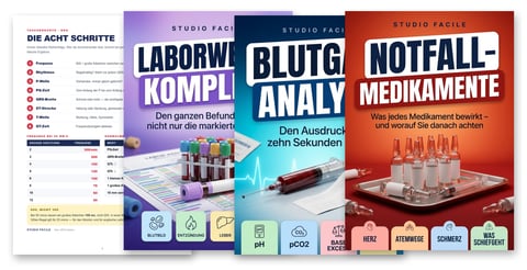 Das Pflege-Paket — 4 Bände: Notfallmedikamente, Blutgasanalyse, Laborwerte komplett und EKG-Taschenkarten
